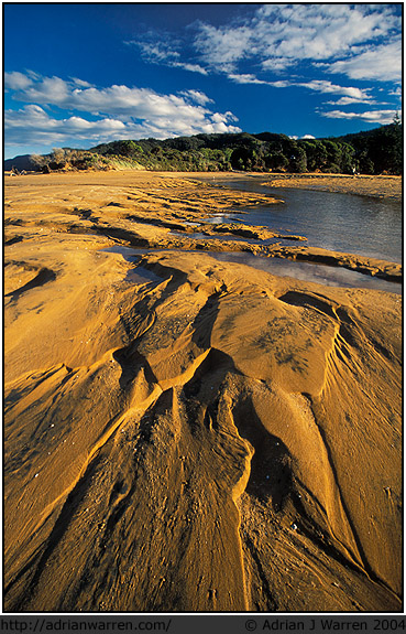 Totaranui beach