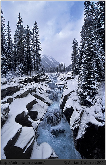 Yoho NP