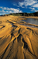 Totaranui beach, click to enlarge